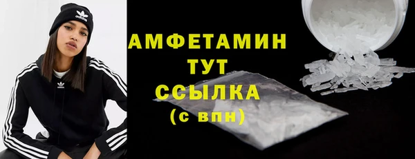 тгк Новозыбков
