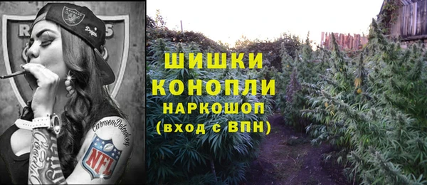тгк Новозыбков