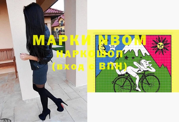 стафф Новокубанск