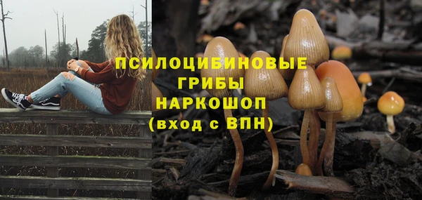 стафф Новокубанск