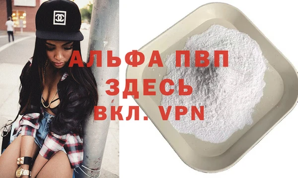 тгк Новозыбков