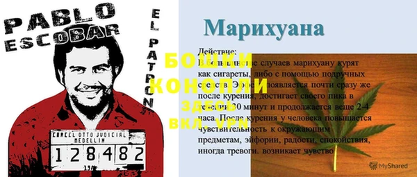 тгк Новозыбков